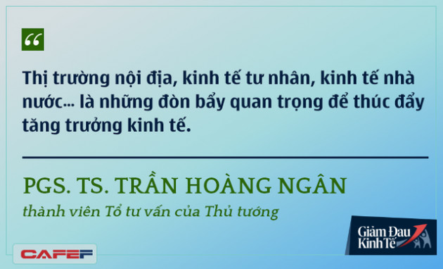 Các chuyên gia kinh tế nói gì về kinh tế Việt Nam thời dịch Covid-19? - Ảnh 8.