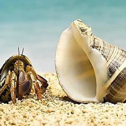 Các công ty chứng khoán đang bị...đổ vỏ FTM?