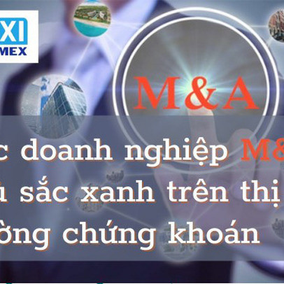 Các doanh nghiệp M&A phủ sắc xanh trên thị trường chứng khoán