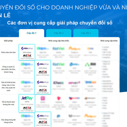 Các giải pháp của MISA ghi dấu tại Khung chuyển đổi số DX Summit