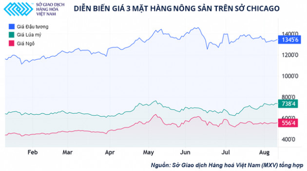 Các nhà đầu tư nông sản đang kỳ vọng điều gì trước báo cáo quan trọng của Bộ nông nghiệp Mỹ?