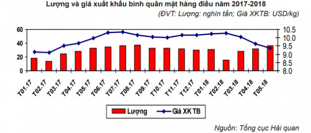 Các nhà máy chế biến hạt điều trong nước đang thiếu nguyên liệu - Ảnh 2.