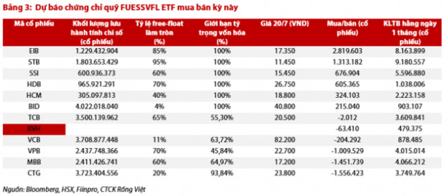 Các quỹ ETFs nội sẽ giao dịch ra sao trong kỳ cơ cấu tháng 7? - Ảnh 2.