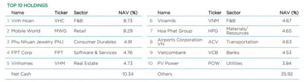 Các quỹ ngoại lớn nhất thị trường đang thua VN-Index - Ảnh 3.