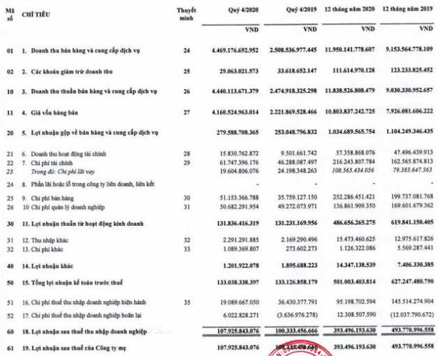 Cadivi (CAV): Năm 2020 lãi 393 tỷ đồng, giảm 20% so với năm trước - Ảnh 1.