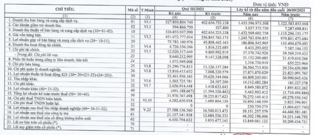 Camimex (CMX) báo lãi quý 3 tăng 67% so với cùng kỳ - Ảnh 1.