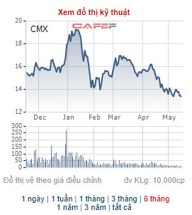 Camimex (CMX) chào bán 30 triệu cổ phiếu cho cổ đông hiện hữu, tăng vốn điều lệ gấp đôi - Ảnh 2.