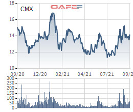 Camimex (CMX) chào bán 30 triệu cổ phiếu riêng lẻ, Chủ tịch và em trai dự kiến mua 45,5% lượng phát hành - Ảnh 3.