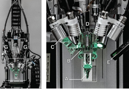  Căn bệnh kinh niên cả thế giới không ai trị được, Elon Musk nói cấy chip Neuralink vào não chắc chắn khỏi - Ảnh 2.