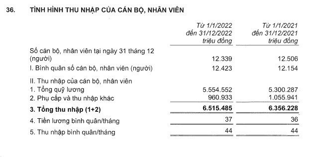 Cán bộ nhân viên Techcombank thu nhập bình quân 528 triệu đồng/người trong năm 2022 - Ảnh 1.