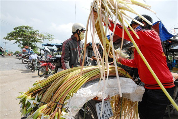 Cận cảnh thiên nhiên ban tặng người dân miền Tây nhiều sản vật trong mùa lũ đẹp - Ảnh 19.