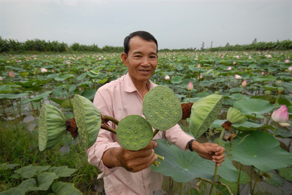 Cận cảnh thiên nhiên ban tặng người dân miền Tây nhiều sản vật trong mùa lũ đẹp - Ảnh 21.