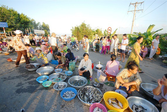 Cận cảnh thiên nhiên ban tặng người dân miền Tây nhiều sản vật trong mùa lũ đẹp - Ảnh 9.