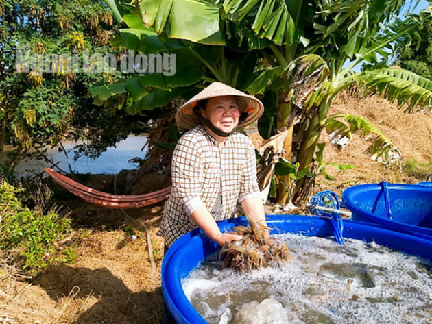 Cận Tết, về Cà Mau xem người dân quậy bùn bắt tôm càng xanh - Ảnh 11.