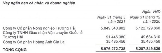 Cấn trừ công nợ sau thương vụ bán 20.744 ha đất, HAGL Agrico (HNG) còn nợ Thagrico hơn 1.265 tỷ đồng - Ảnh 1.