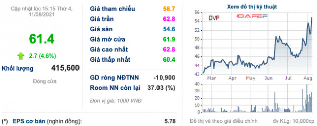 Cảng Đình Vũ (DVP): Đặt kế hoạch lãi trước thuế 60 tỷ đồng trong quý 3/2021 - Ảnh 1.