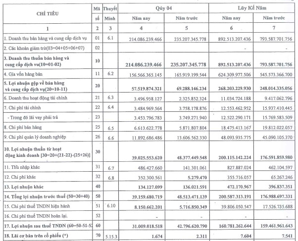 Cảng Đồng Nai (PDN) báo lãi 160 tỷ đồng năm 2021, vượt 10% chỉ tiêu lợi nhuận được giao - Ảnh 1.