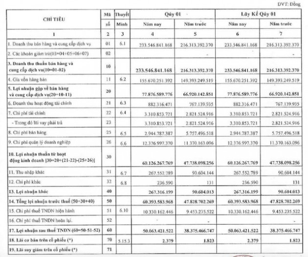 Cảng Đồng Nai (PDN): Quý 1 lãi 50 tỷ đồng, tăng 32% so với cùng kỳ - Ảnh 1.