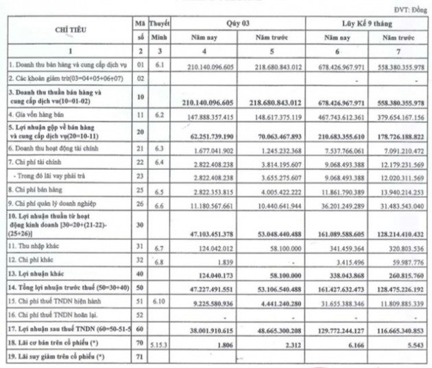 Cảng Đồng Nai (PDN): Quý 3 lãi 38 tỷ đồng giảm 22% so với cùng kỳ - Ảnh 1.