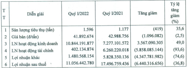 Cao su Bà Rịa (BRR) báo lãi quý 1 giảm 37% so với cùng kỳ bất chấp sản lượng tiêu thụ tăng 36% - Ảnh 1.