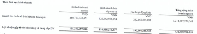 Cao su Đồng Phú (DPR) báo lãi sau thuế cả năm đạt 491 tỷ đồng, tăng 132% so với cùng kỳ - Ảnh 2.