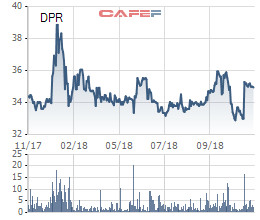 Cao su Đồng Phú (DPR) chốt danh sách cổ đông tạm ứng cổ tức bằng tiền tỷ lệ 40% - Ảnh 1.