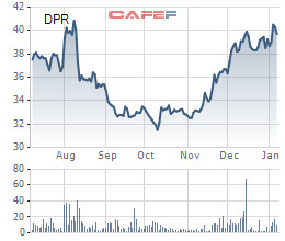 Cao su Đồng Phú (DPR): Cổ phiếu bật tăng mạnh, tổng doanh thu 2019 ước đạt 799 tỷ đồng - Ảnh 3.