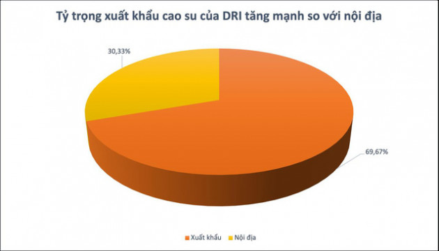 Cao su DRI báo lãi gộp tăng 2,5 lần trong 9 tháng đầu năm 2021 - Ảnh 1.
