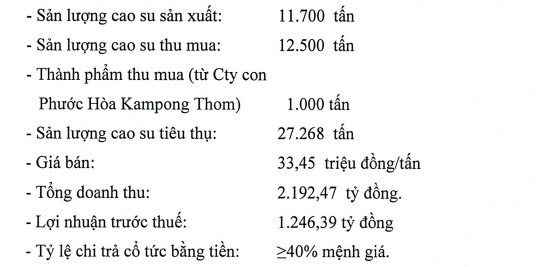 Cao su Phước Hòa (PHR) bất ngờ đặt kế hoạch lãi trước thuế 1.246 tỷ đồng năm 2019 - Ảnh 1.