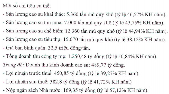 Cao su Phước Hoà (PHR) ước lãi sau thuế quý 4/2020 đạt 383 tỷ, đầu tư cho thuê xưởng lắp sẵn điện mặt trời - Ảnh 1.