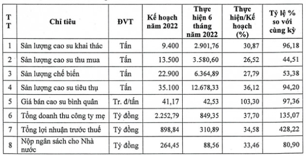 Cao su Phước Hòa tiếp tục đặt mục tiêu lãi 220 tỷ đồng quý III, gấp 3,2 lần cùng kỳ - Ảnh 1.