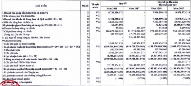 Cao Su Quảng Nam (VHG): Năm 2018 lỗ tiếp 240 tỷ đồng, chờ án hủy niêm yết - Ảnh 1.