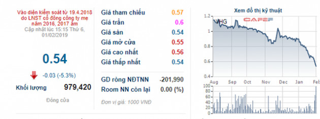 Cao Su Quảng Nam (VHG): Năm 2018 lỗ tiếp 240 tỷ đồng, chờ án hủy niêm yết - Ảnh 2.