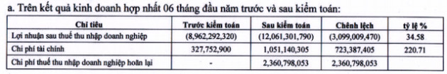 Cao su Quảng Nam (VHG) tăng lỗ thêm 34% sau soát xét - Ảnh 1.