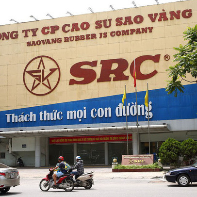 Cao su Sao Vàng cùng với Hoành Sơn thành lập công ty vốn 500 tỷ đồng