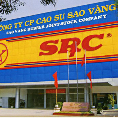 Cao Su Sao Vàng: Dự án đất vàng vẫn trên giấy, một cổ đông nắm 4,6% phản ánh có dấu hiệu bất thường trong bầu thành viên HĐQT