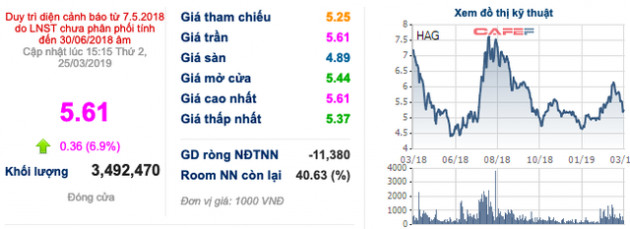 Cặp đôi HAG-HNG kịch trần mặc cho thị trường giảm mạnh, cổ đông tăng niềm tin với bầu Đức? - Ảnh 1.