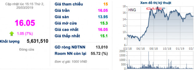 Cặp đôi HAG-HNG kịch trần mặc cho thị trường giảm mạnh, cổ đông tăng niềm tin với bầu Đức? - Ảnh 2.