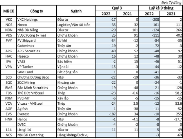 Cập nhật tình hình thua lỗ quý 3/2022: Thép, chứng khoán đau vì thị trường, nhiều DN lao đao vì đầu tư cổ phiếu - Ảnh 1.