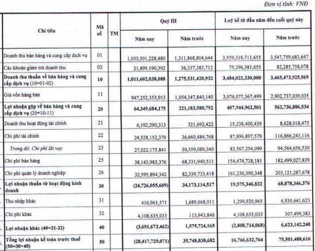 Casumina (CSM): Quý 3/2021 lần đầu báo lỗ 28 tỷ đồng trước áp lực kép Covid-19 và giá đầu vào - Ảnh 1.