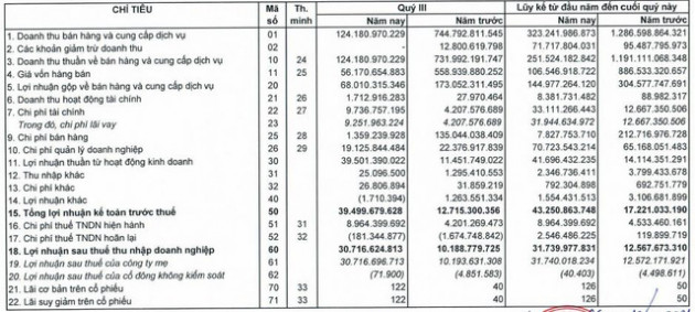 Cắt giảm được 99% chi phí bán hàng, Đầu tư LDG báo lãi quý 3 gấp 3 lần cùng kỳ - Ảnh 1.