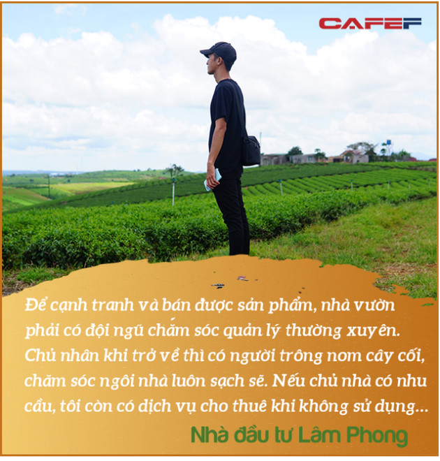 Câu chuyện “bỏ phố về rừng” đầu tư Farmstay của một đại gia Tp.HCM sở hữu 50 căn nhà vườn - Ảnh 8.