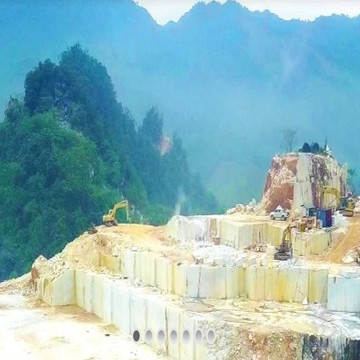 Câu chuyện “con bò - bộ lòng” và những cuộc chơi mới của Nhựa Pha Lê