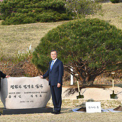 Cầu kỳ như cách nhà lãnh đạo Kim Jong Un và Tổng thống Hàn Quốc Moon Jae-in trồng cây hòa bình