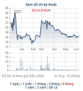 CC1 giảm mạnh, Công ty Tuấn Lộc vẫn quyết bán hết 21 triệu cổ phiếu, không còn là cổ đông lớn - Ảnh 1.