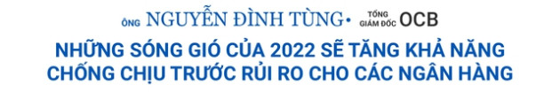 CEO các ngân hàng nhận định gì về năm 2023? - Ảnh 11.