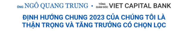 CEO các ngân hàng nhận định gì về năm 2023? - Ảnh 13.