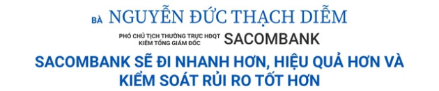 CEO các ngân hàng nhận định gì về năm 2023? - Ảnh 7.