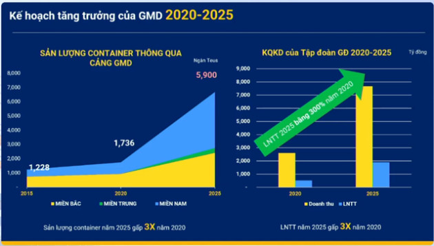 CEO Gemadept: Vận tải biển đã qua đỉnh nhưng hoạt động cảng vẫn tăng trưởng - Ảnh 2.