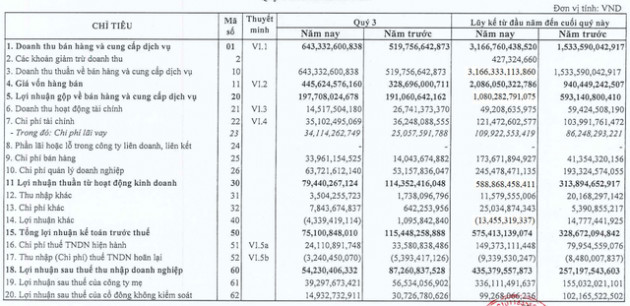 CEO Group (CEO) báo lãi 435 tỷ đồng trong 9 tháng, hoàn thành 98% kế hoạch năm - Ảnh 2.